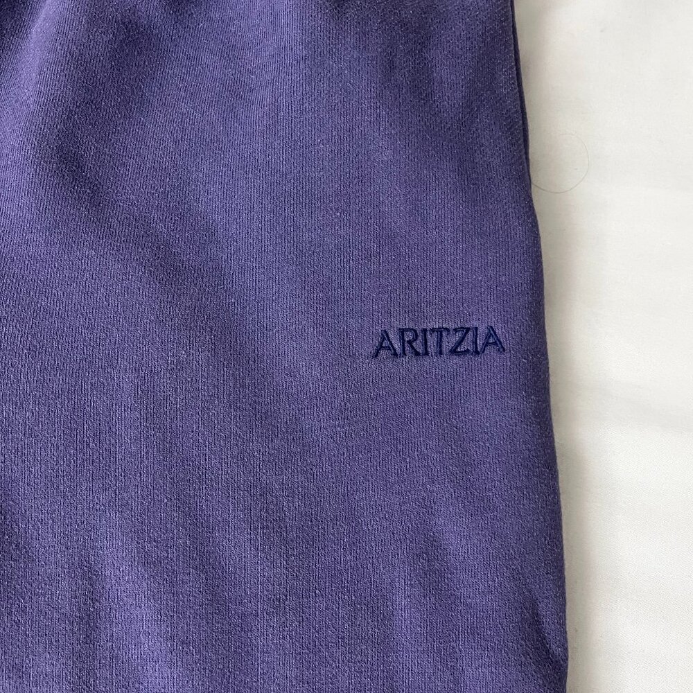 aritzia mega fit sweatpants